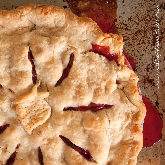 Mixed Berry Rhubarb Pie
