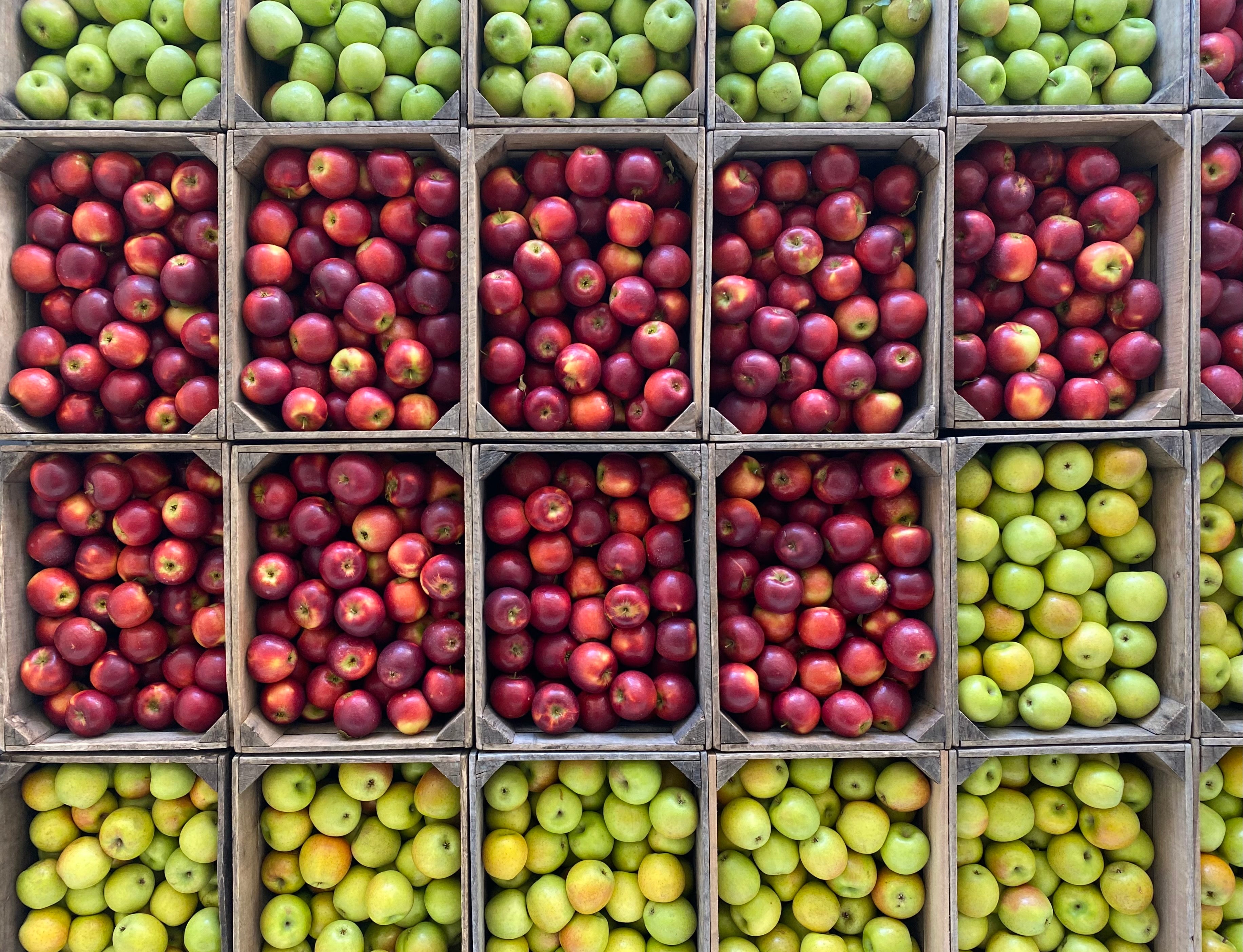 Livin' the Pie Life Born & Baked in Arlington Livin' The Pie Life