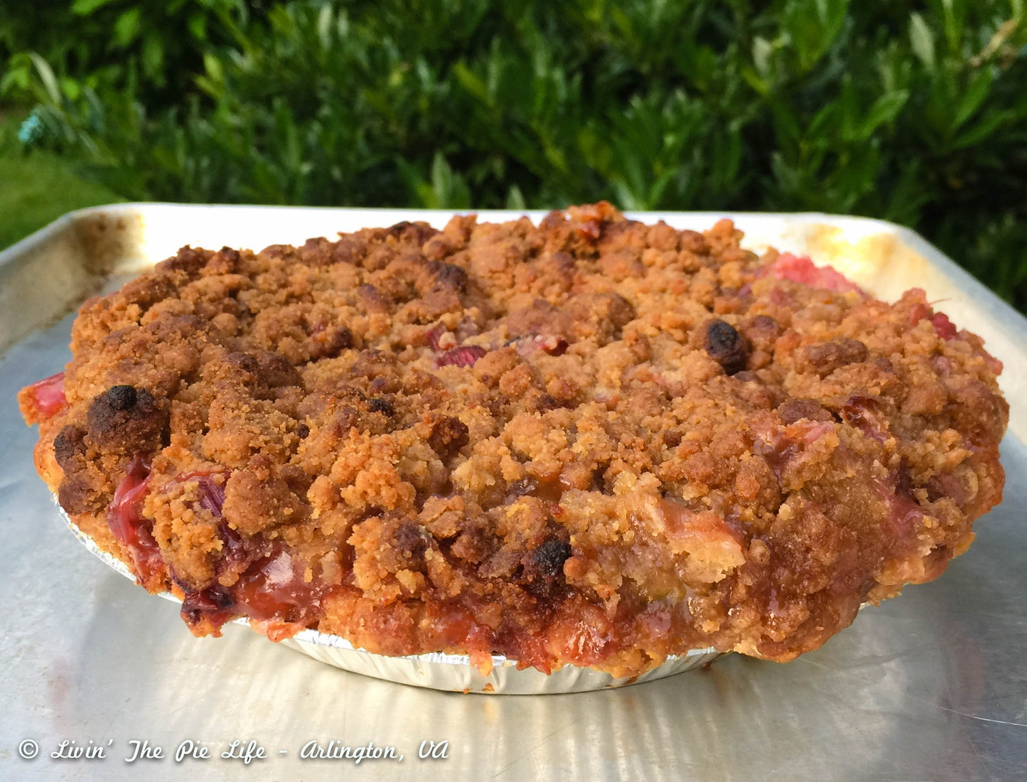 Pie - Old-Fashioned Rhubarb Crumb Top - 10”