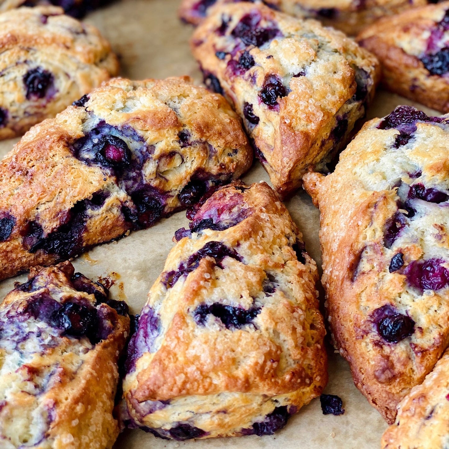 Scone - Blueberry Half-Size